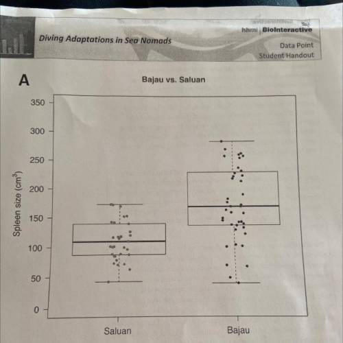 How do the Spleen Sizes of the Bajau

and Saluan differ? Use data from
your
graph to support your