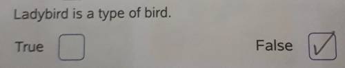 Ladybird is a type of bird.TrueFalse​