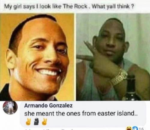 THE ROCK looking squished tho