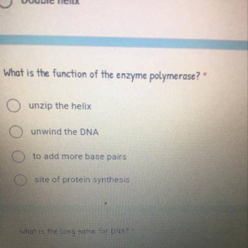 What is the function of the enzyme polymerase