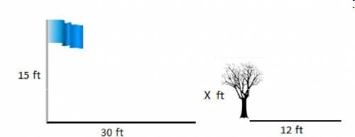 A flagpole and a tree are casting shadows as shown in the picture below. How tall is the tree?

F.