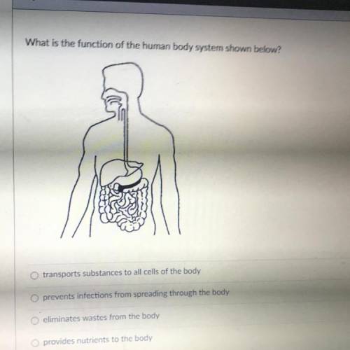What is the function body system shown below?