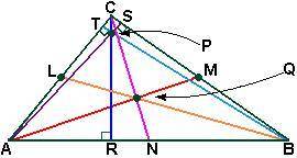 Name the following segment or point.

Given:
L, M, N are midpoints
median to AB
1.)segment CR
2.)s