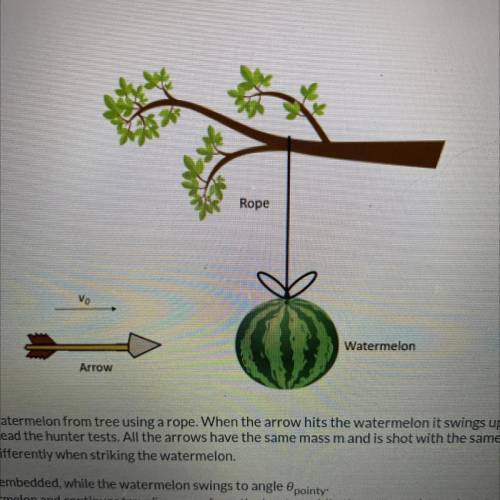 A hunter is testing 3 new arrowheads. He hangs a watermelon from tree using a rope. When the arrow