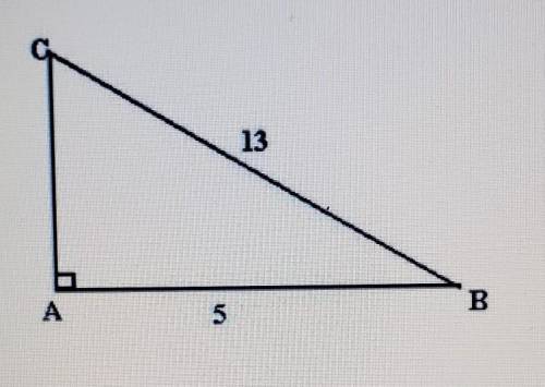 What is the perimeter of this right triangle?23 1832.530​