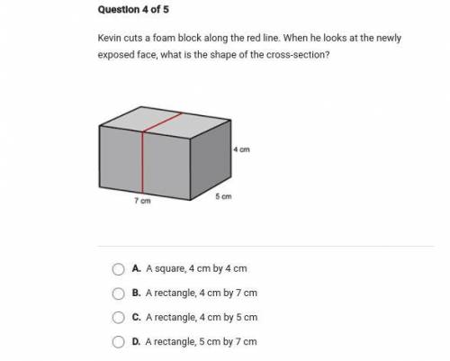 Kevin cuts a foam block along the red line. When he looks at the newly exposed face, what is the sh
