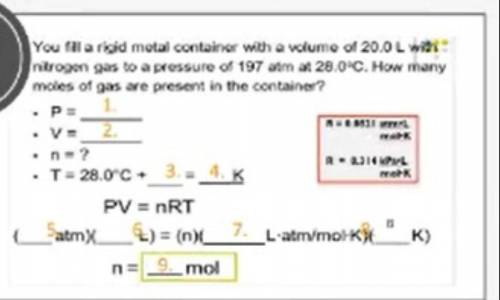 a rigid metal container has a volume of 20.0 L with nitrogen gas to a pressure of 197atm at 28.0 C.