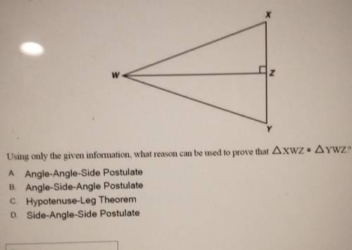 HELP! WHY IS THIS TRIANGLE CONGRUENT! EASY PLS HELP​