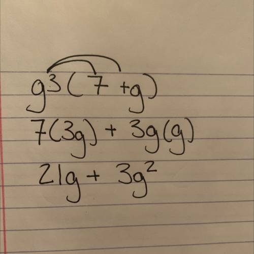 Find an equivalent expression using the Distributive Property.
g3(7+g)