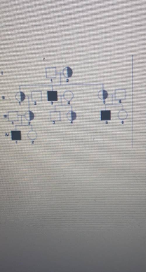 What type of inheritance is shown in the pedigree? What is the genotype of individual 6 in the II g