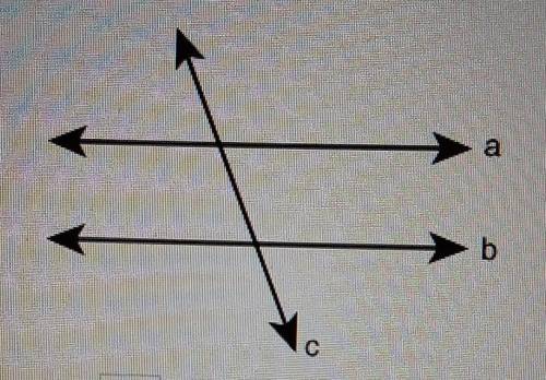 Enter a letter.Line ____ is a transversal.​