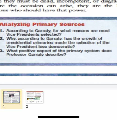 What positive aspect of the primary system does professor Garraty describe?