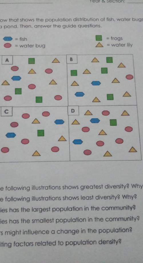 1.which is the following illustrations shows greatest diversity? why?

2.Which of the following il