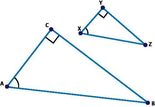Help plz!!!

Triangle XYZ was dilated by a scale factor of 2 to create triangle ACB and cos ∠X = 2
