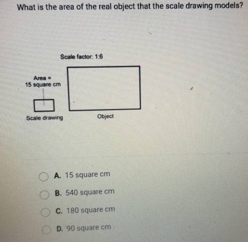 50 POINTS AND BRAINLIEST TO WHOEVER GETS IT RIGHT. What is the area of the real object that the sca