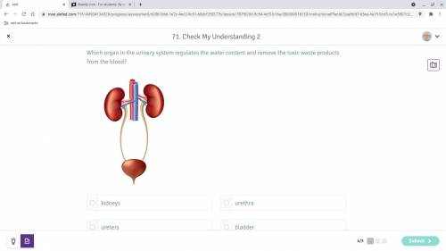 Which orgen in the urinary system regulates the water content and remove the toxic waste products f