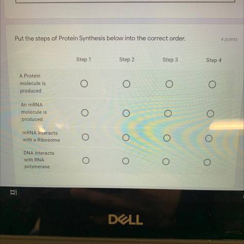 Put the steps of Protein Synthesis below into the correct order.

4 points
Step 1
Step 2
Step 3
St