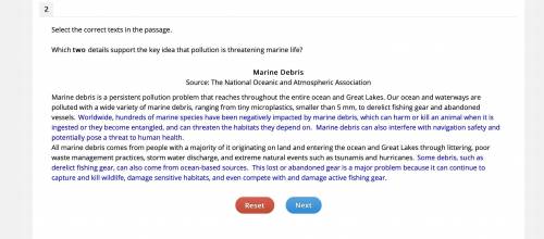 Which two details support the key idea that pollution is threatening marine life?