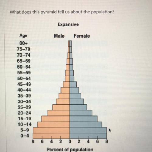 What does this pyramid tell us about the population?

The population is growing.
The population is