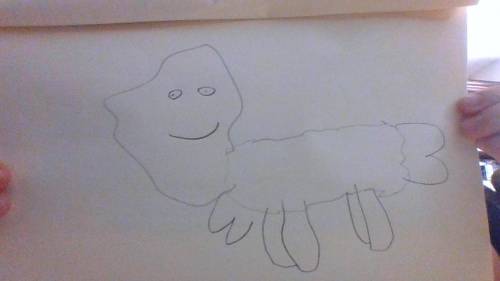What my sister thinks me and my dog looks like and the cat (she is 4)