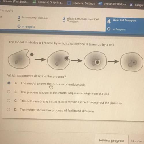 Which statements describe the process?

A.
The model shows the process of endocytosis.
B.
The proc