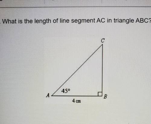 A. 2 cmB. 2√2 cmC. 4 cmD. 4√2 cm​