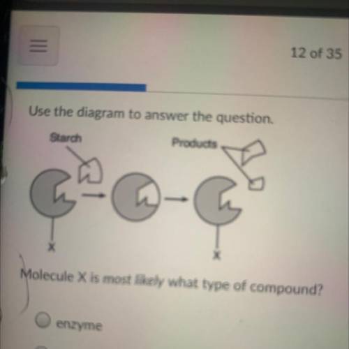 Use the diagram to answer the question.

Starch
Products
Molecule X is most likely what type of co