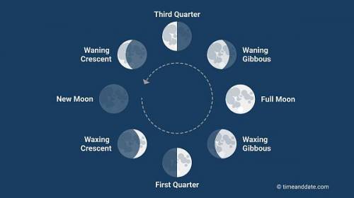 What is the shape of the quarter moon?
