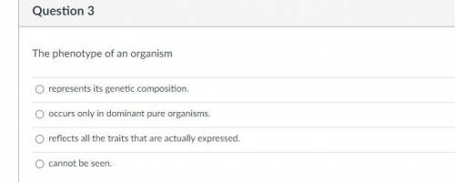 The phenotype of an organism