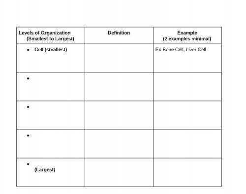 Directions: Use the terms from the word bank to order the levels of organization from smallest to l