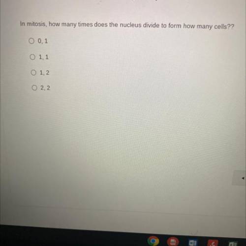 In mitosis how many times does the nucleus divide to form how many cells?