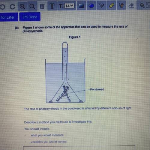 Could anyone help? Thanks in advance