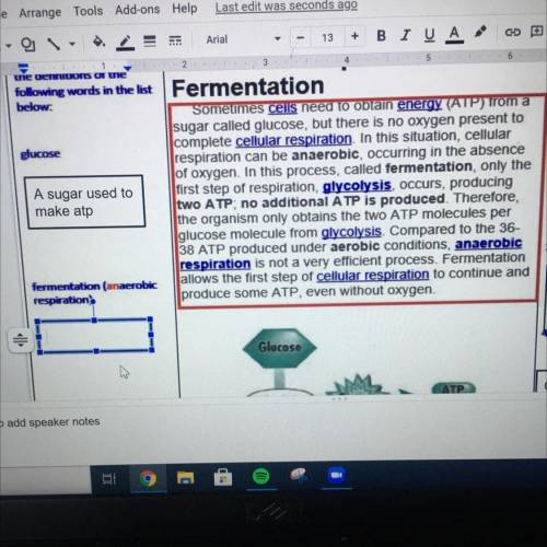 Fermentation(anaerobic respiration)