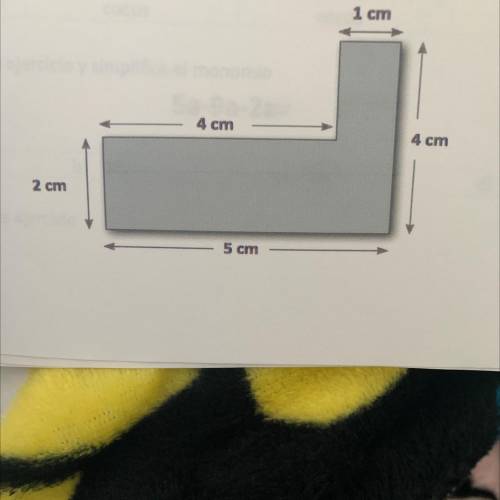 How can I find the area for this shape please help!