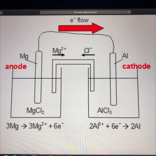 Look at the diagram of an electrochemical cell below.

Which observation would be most likely to h