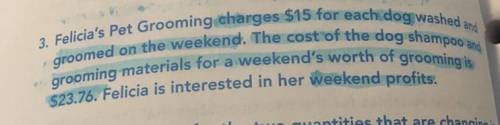 Write an equation that represents the total profits based on the number of dogs groomed.