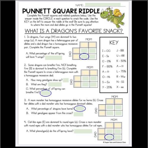 Punnett square riddle