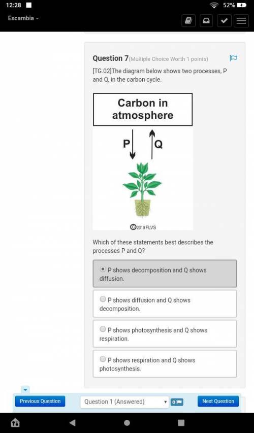 TG.02]The diagram below shows two processes, P and Q, in the carbon cycle.

The picture shows a re