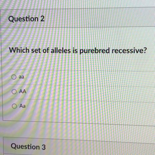 Which set of alleles is purebred recessive ?
A) aa
B)AA
C)Aa
