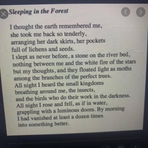 Rhyme scheme of sleeping in forest poem pls answer quick
