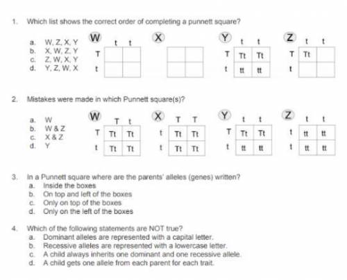 I need help. Im pretty sure the answers are B, A, C, C but im not sure. Can someone help me? Questi