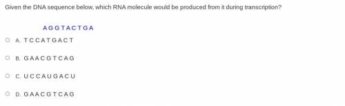 Someone please help with this asap! I need serious answers please! I will give brainliest