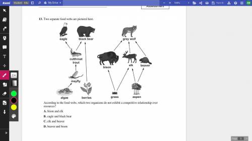 PLEASE HELP ME

According to the food webs, which two organisms do not exhibit a competitive relat