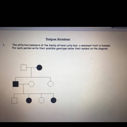 The affected members of the family all have curly hair, a dominant trait in humans. For each person