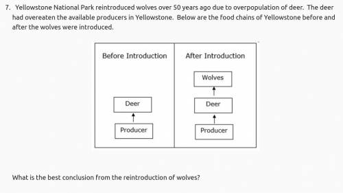 This is middle school work

answer choices 
There is no effect to adding wolves
Both the populatio