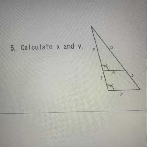 5. Calculate x and y.