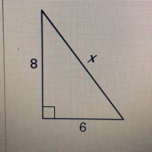 Find the value of x.