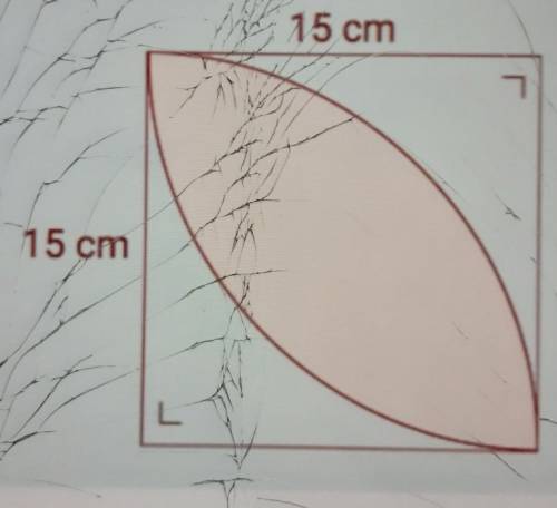 Looking for the area of the curved part​