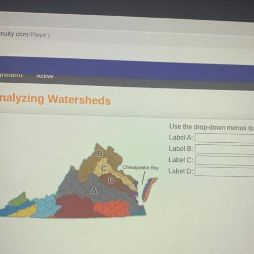 Analyzing Watersheds

Use the drop-down menus to identify the watersheds.
Label A:
Label B:
Label