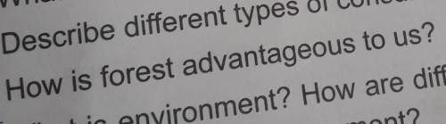 How is the forest advantageous to us?​